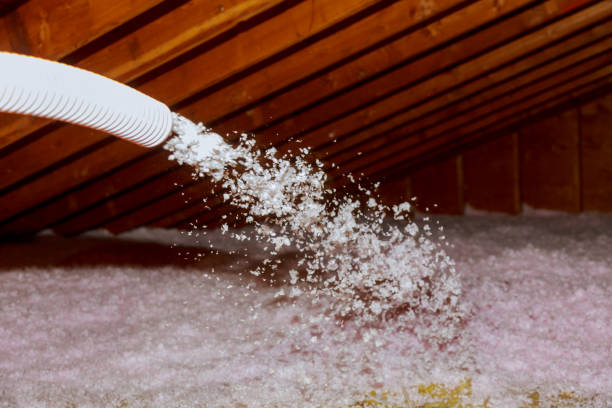 Best Energy Efficiency Solutions in Tallapoosa, GA